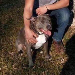 Meet your Posher, Troy